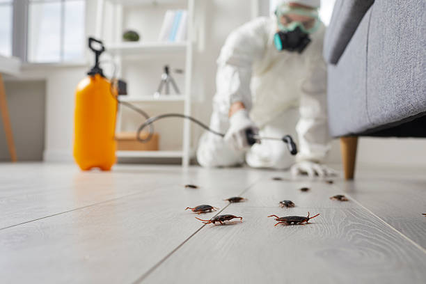Commercial Kitchen Cockroach Control in Due West